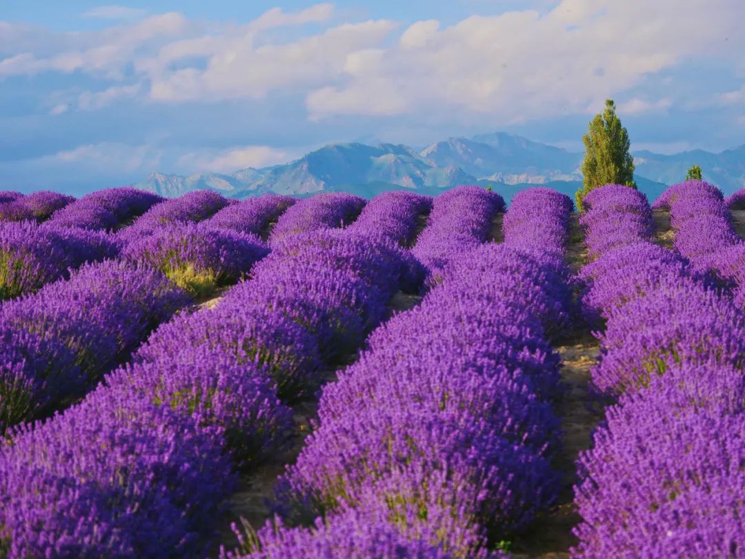 hm耐克阿迪,hm耐克优衣库阿迪达斯