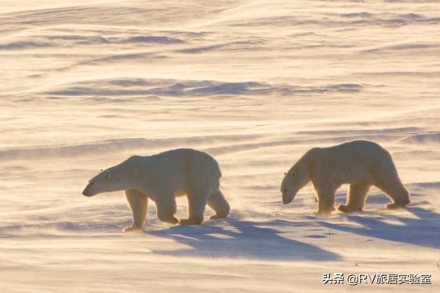 加拿大旅游胜地是哪里,加拿大经典旅游路线推荐一下