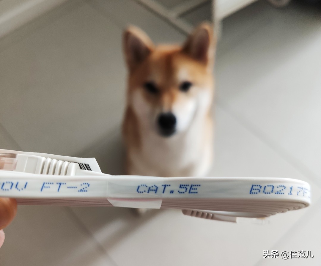 200m的网速测下来才20m,200m的带宽网速应该是多少