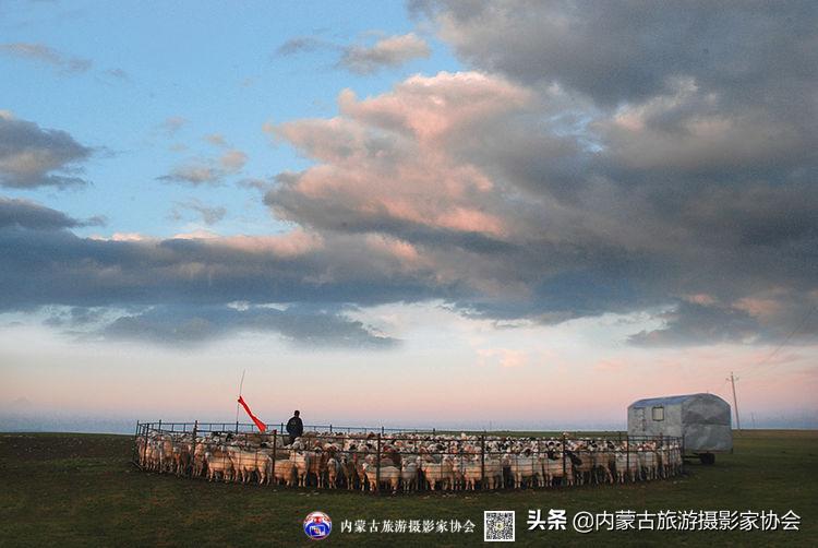 游牧民族蒙古包搭建,游牧民野外建住所