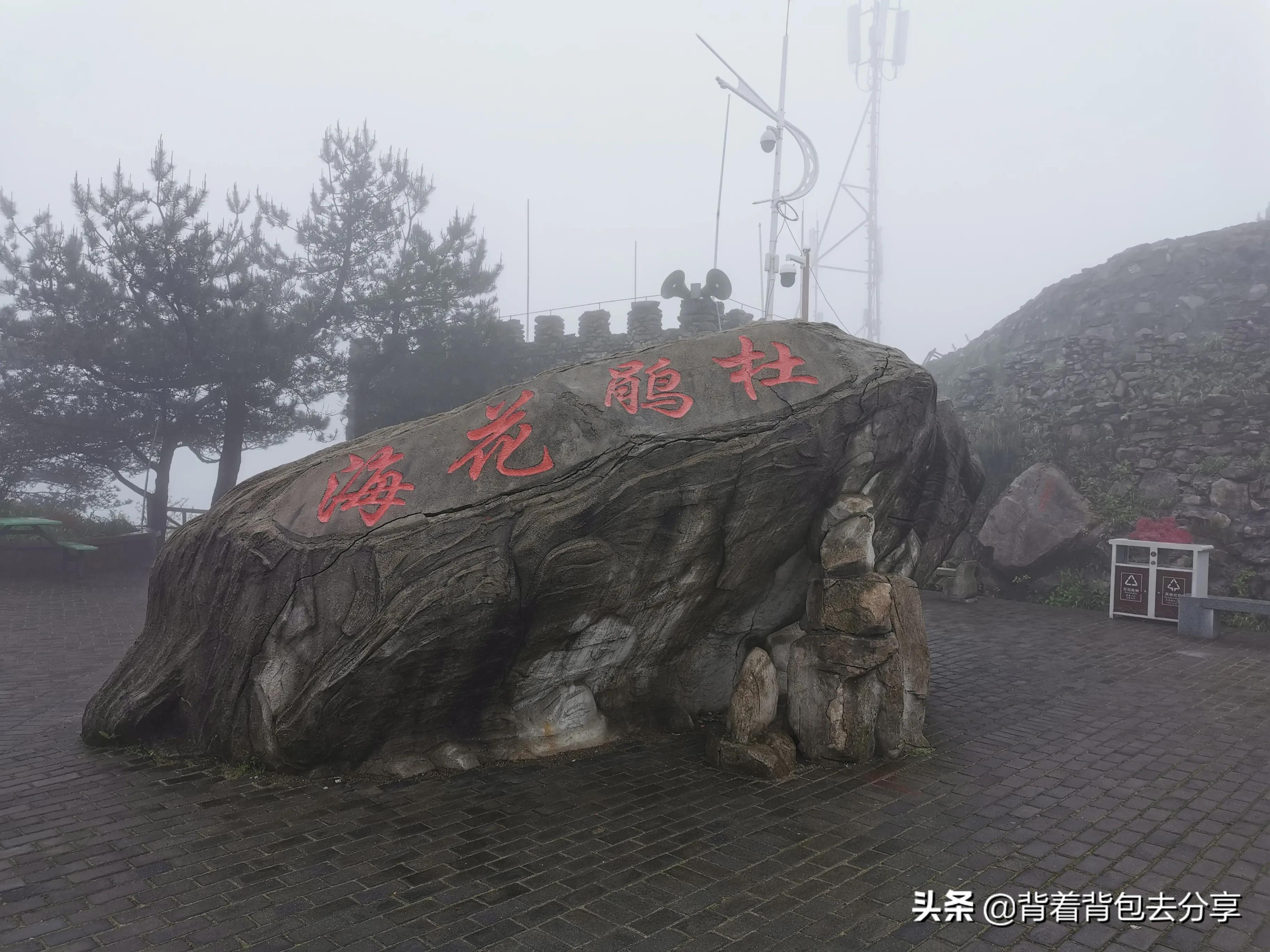 麻城龟峰山古杜鹃,面积最大的杜鹃花景区