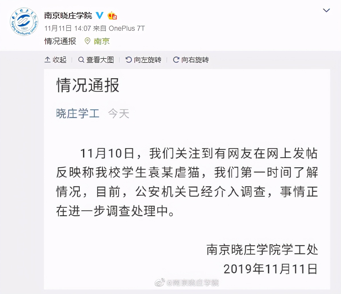 丢掉女朋友养了2年的猫,女朋友要求丢掉养了3年的猫