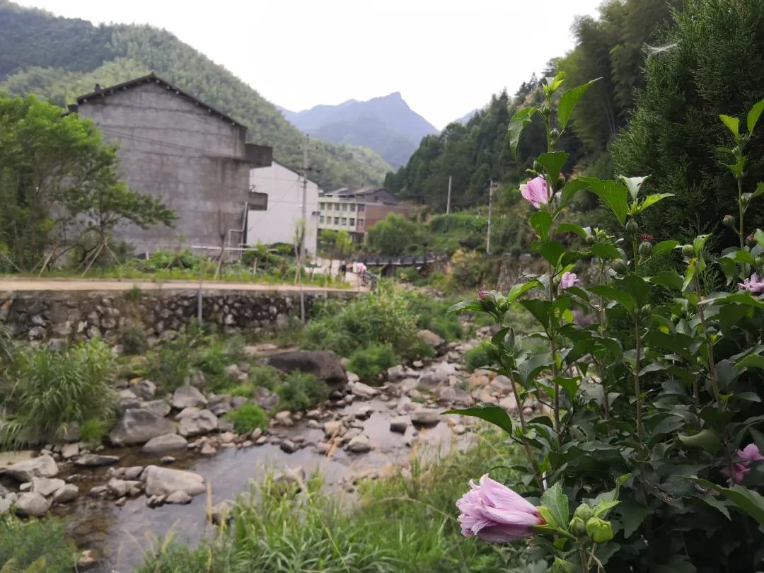 我要去旅行英文,我要去旅行完整版