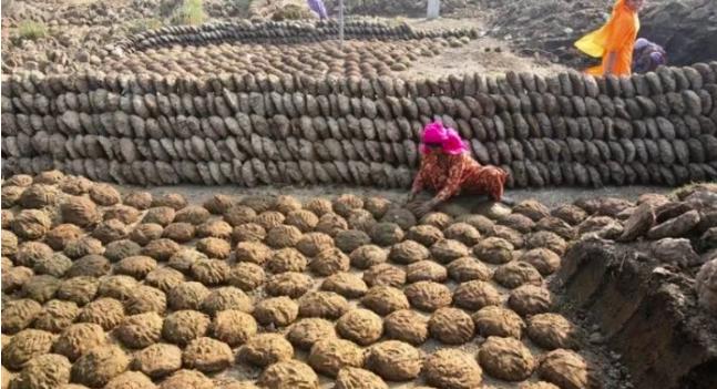 印度牛尿饮料,最贵80元一瓶卖到脱销,曾经想要出口给中国