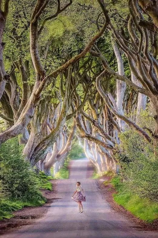 去了这30个地方一生就值得了,此生一定要去的14个地方