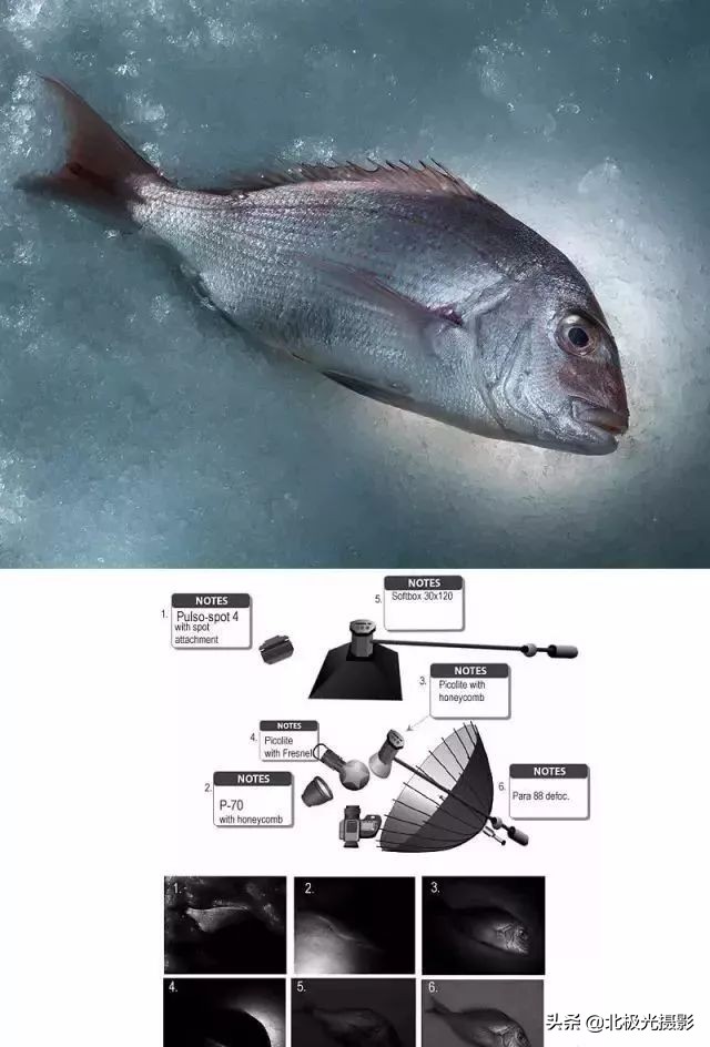 学习更多的摄影用光技巧,掌握摄影用光的技巧