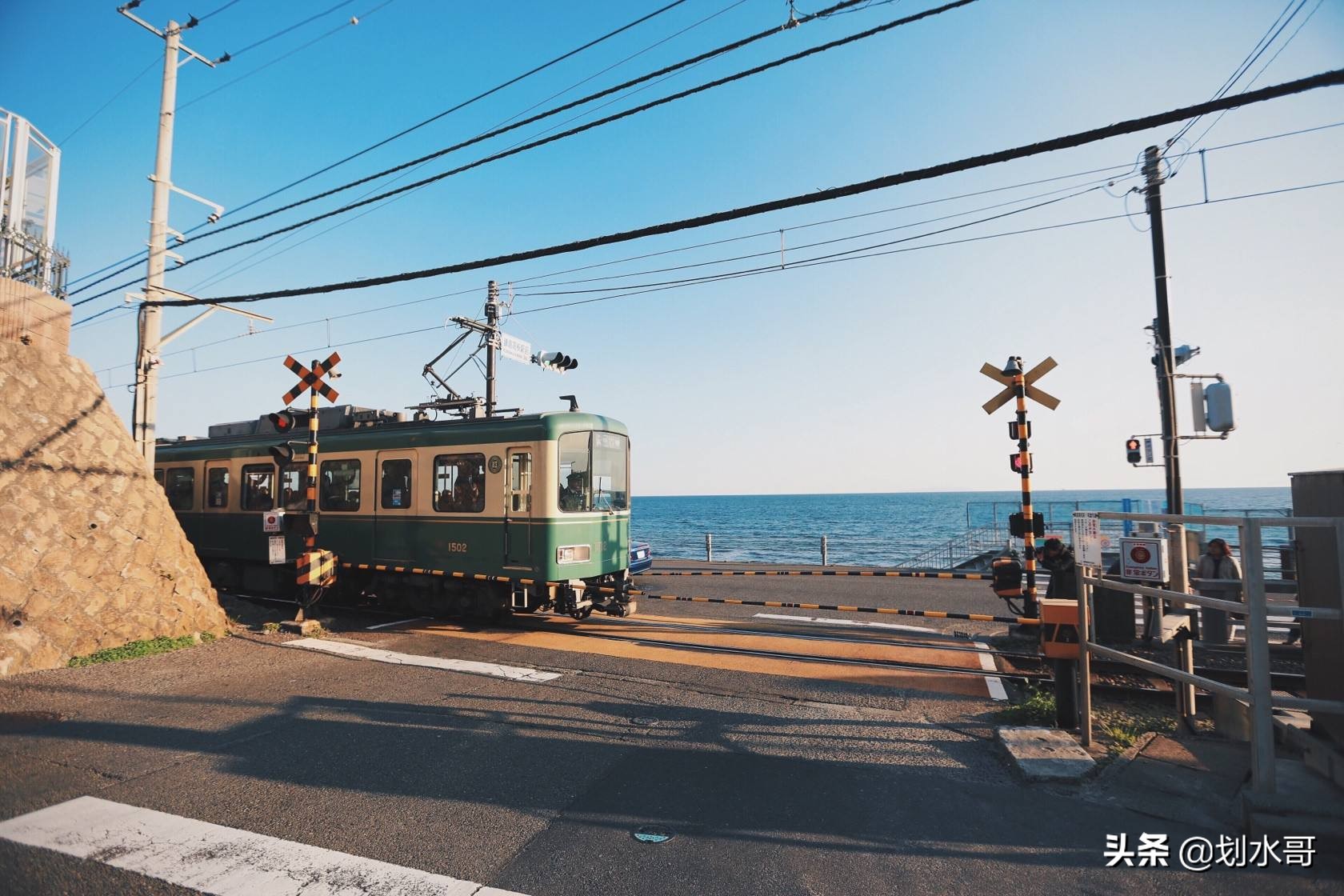 灌篮高手中的故事发生在哪个学校,灌篮高手樱木的故事