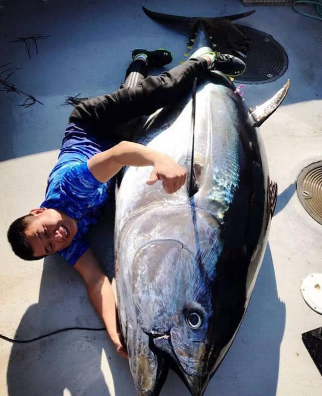 在澳洲的生活是一种怎样的体验：这边的人很懒，非常喜欢钓鱼