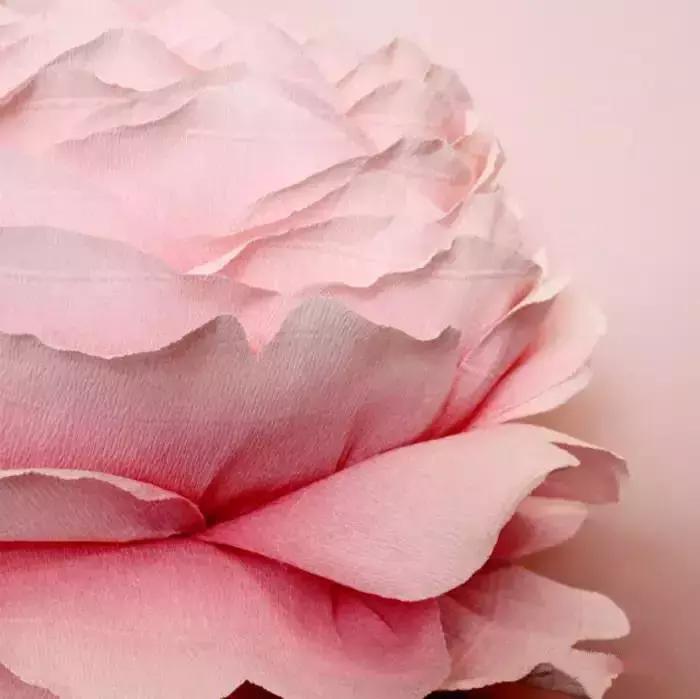 纸折立体水仙花,怎么用纸折出水仙花简单版