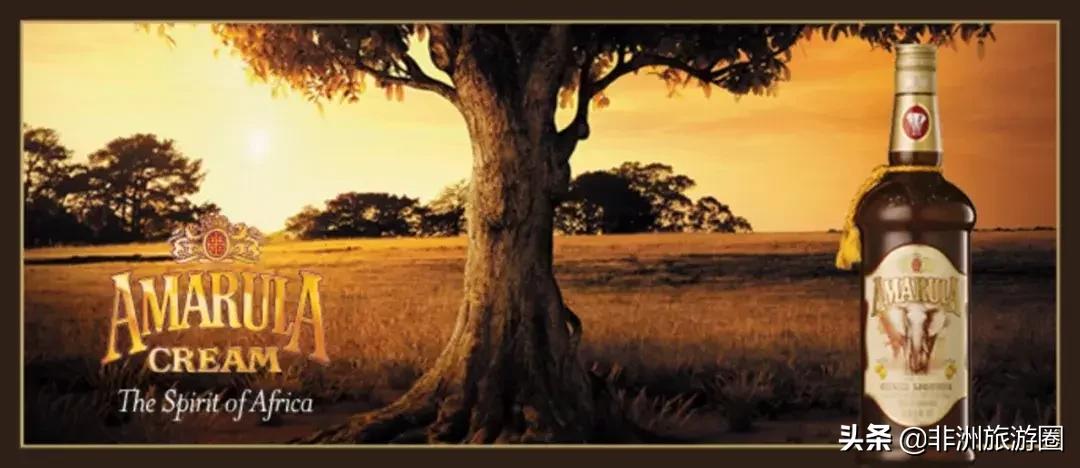 南非必买的东西清单,南非有什么可以买的东西