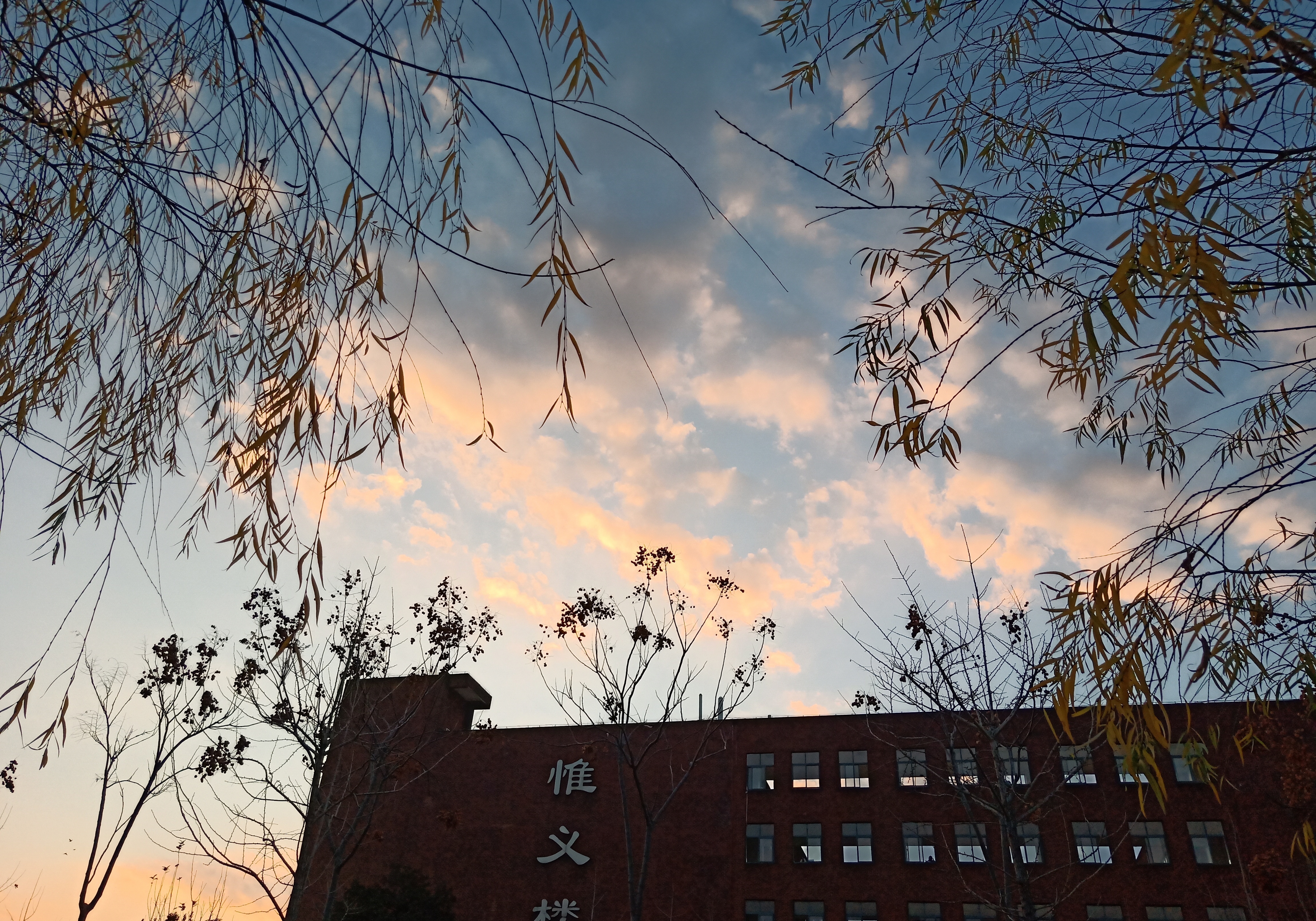 前身是国立中正大学，校庆是蒋介石的生日，这所大学不简单