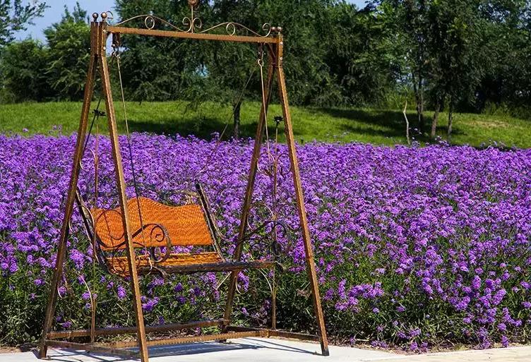 北京丰台度假休闲好去处,游玩北京丰台