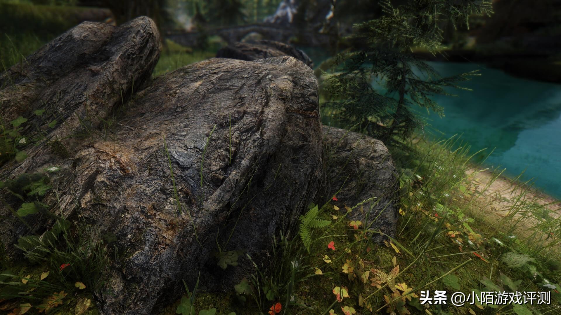 虾米的泪上古卷轴5重制版,深度游戏评测