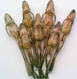 口干舌燥易出汗中医怎么样调理,经常口干想喝水尿多是怎么回事