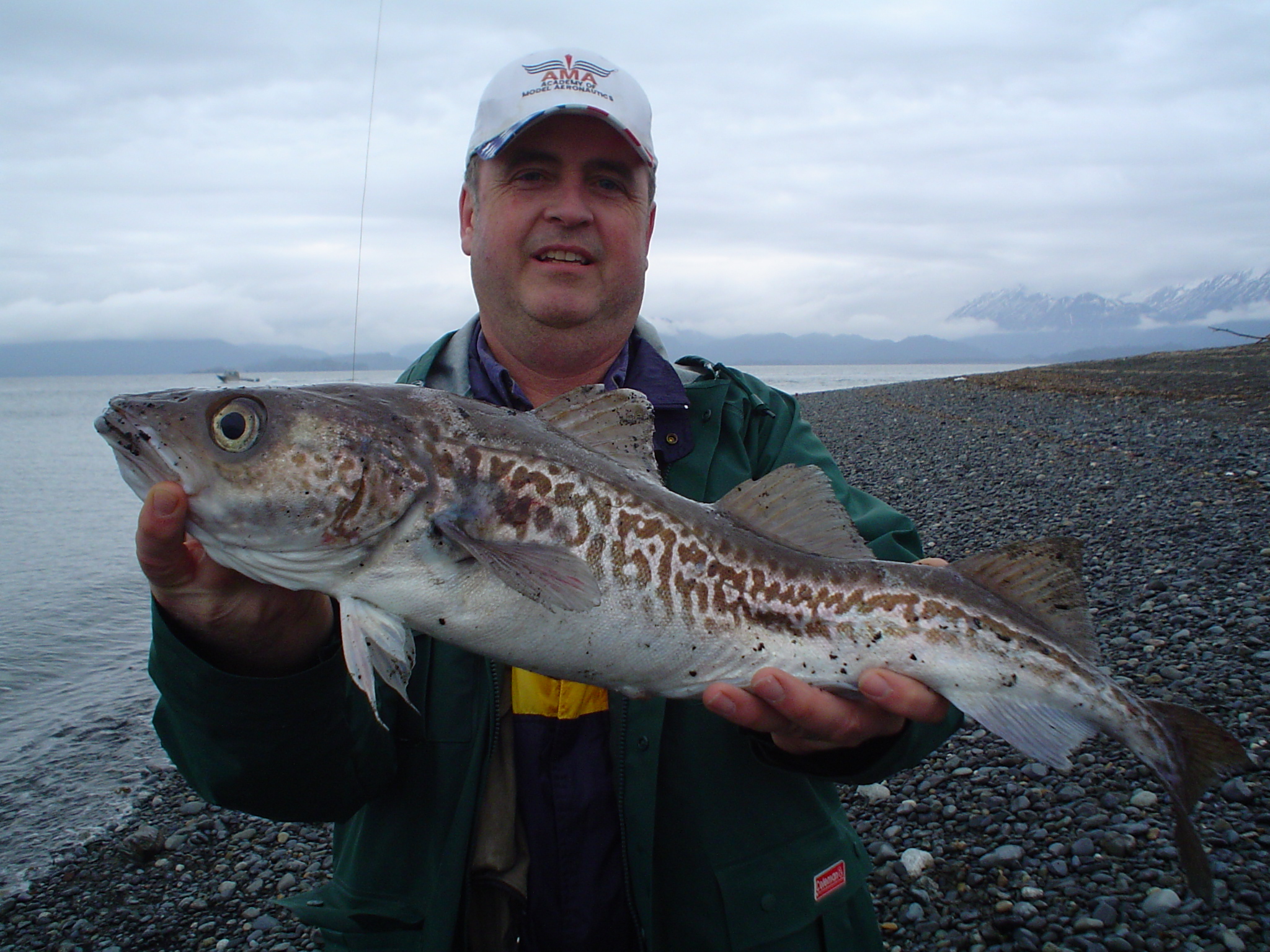 绕开中国工厂，运送1000多个集装箱，俄罗斯凭什么吃定明太鱼？