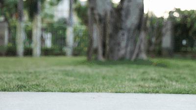 皮鞋男士真皮梦特娇,既休闲又舒服的皮鞋