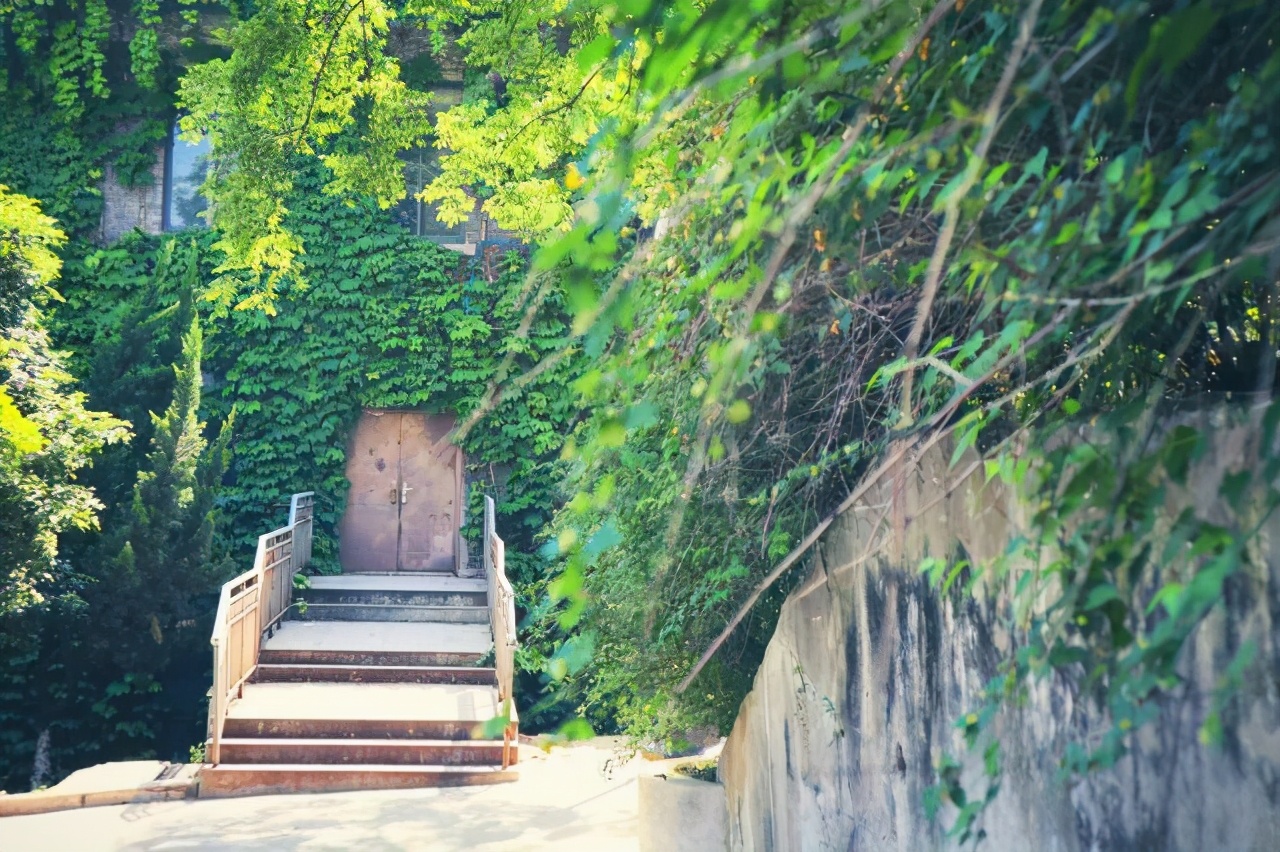 国立中央大学江苏大学,国立中央大学有哪些著名教授