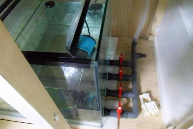 做缸技术难点,做缸的正确方法