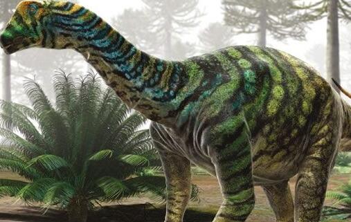 恐龙的种类很多形态更是千奇百怪,世界上所有的恐龙的名字和图片