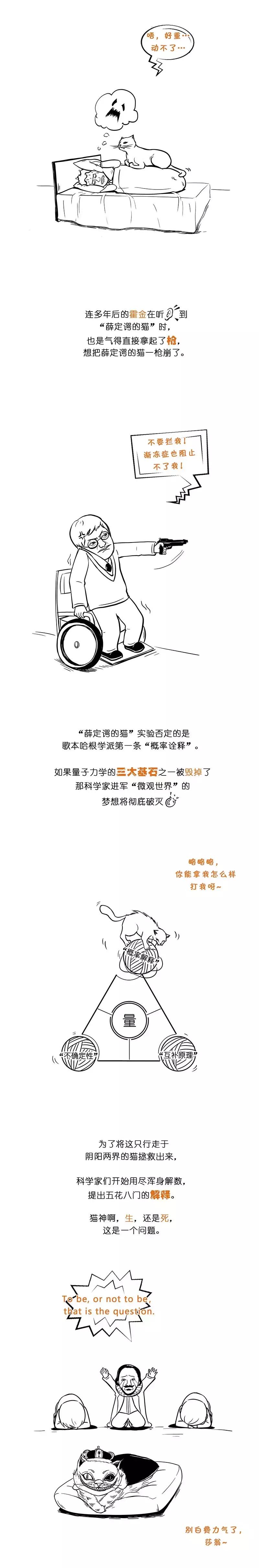 薛定谔的猫最简单最直白的解释,薛定谔的猫和杨氏双缝干涉实验