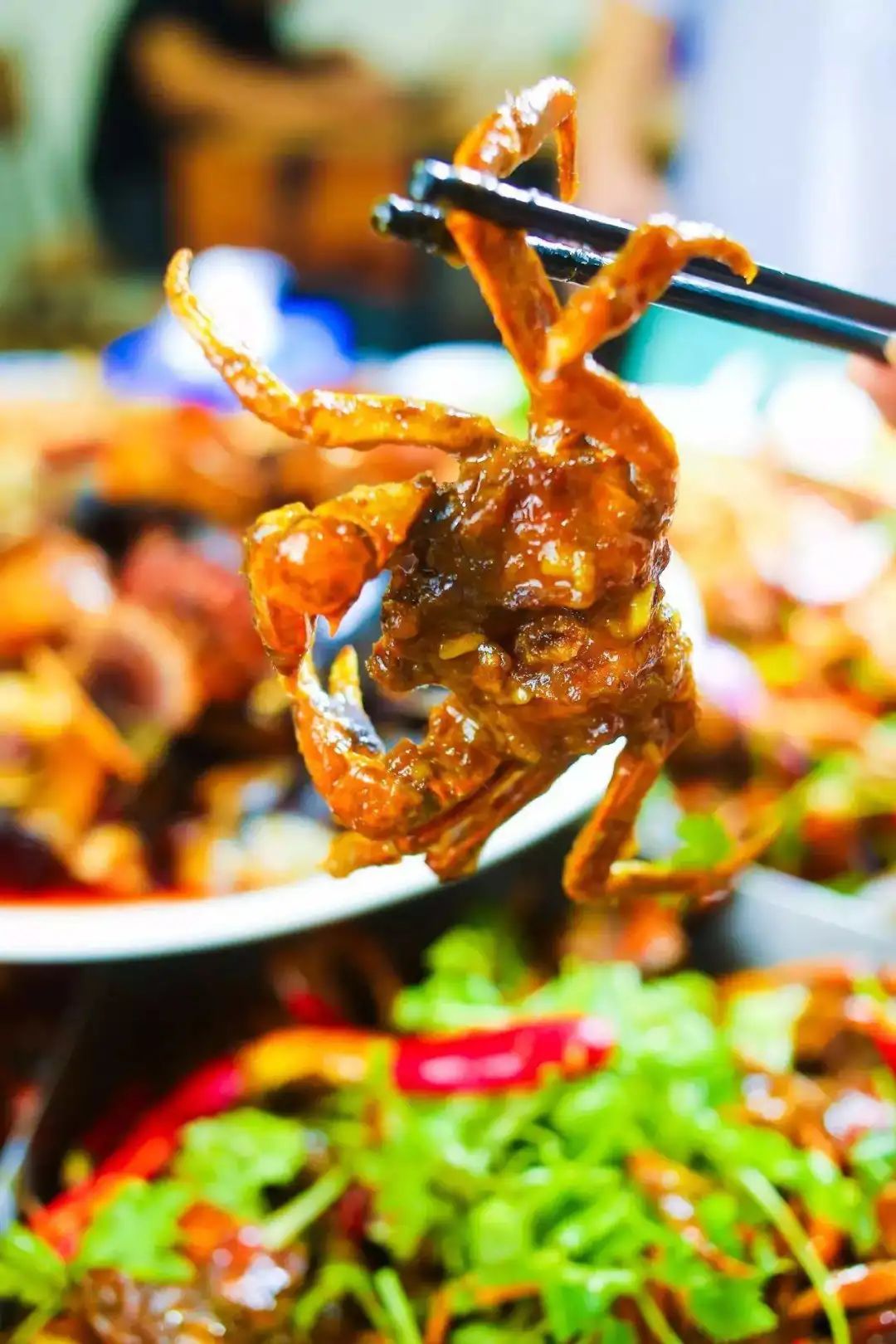 中国最好的三大蟹,广东什么蟹最便宜