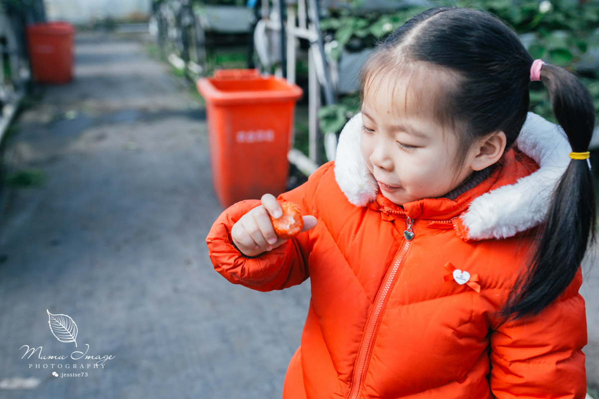 几百亩草莓采摘基地，无销售，不够卖，老板：绿色天然无公害