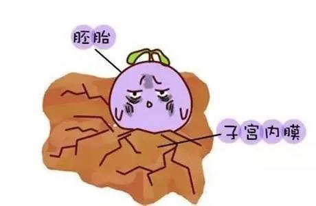 留不住受精卵的子宫内膜，究竟是被什么“坑”惨了？