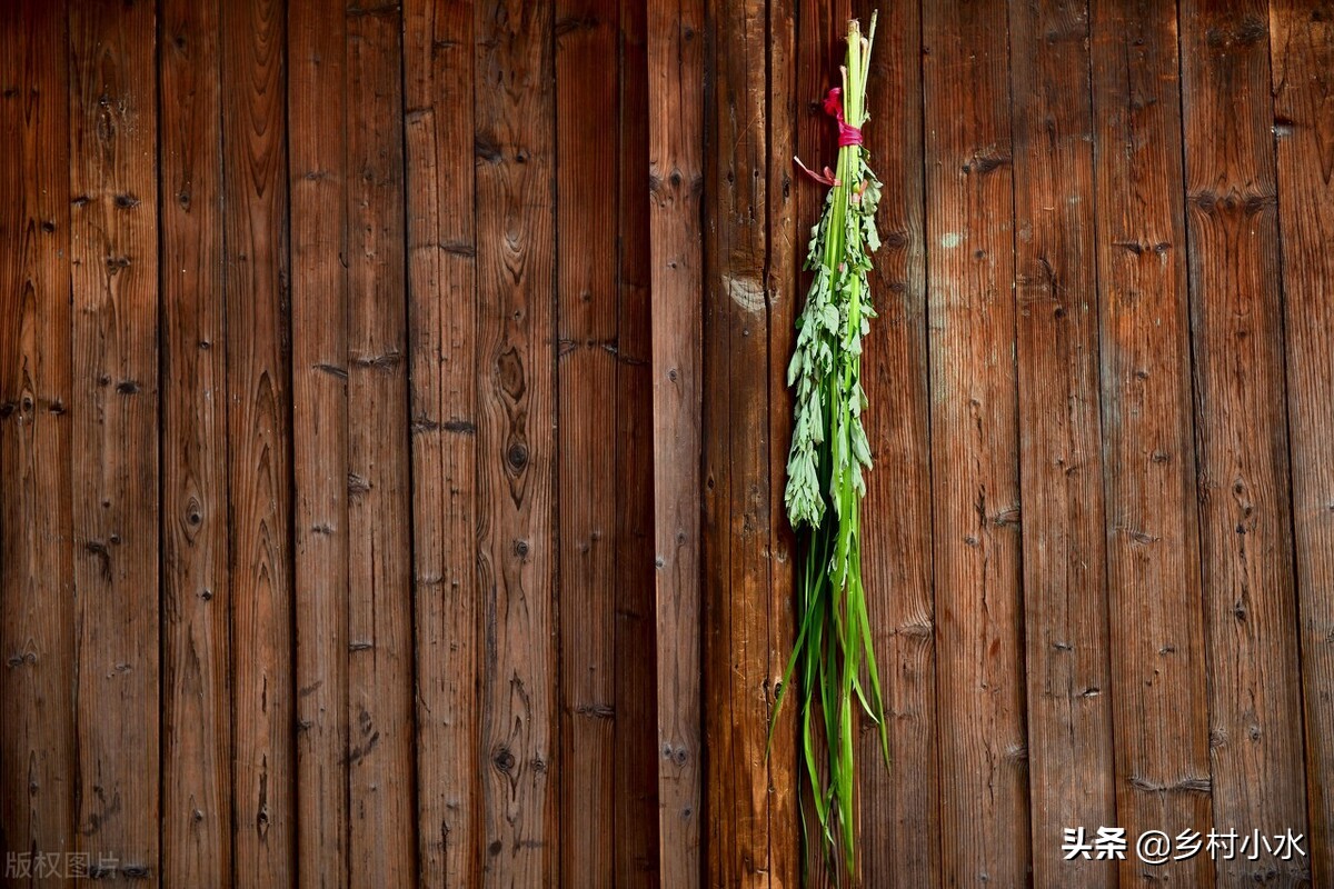 端午节挂艾草你知道有哪些讲究吗,你知道端午节挂艾草有哪些讲究吗