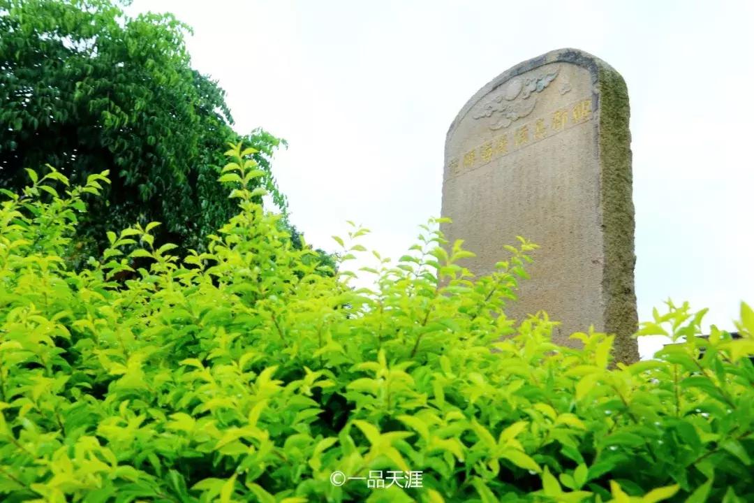 探大钱，起大厝，每个闽南人心中都有座南洋楼