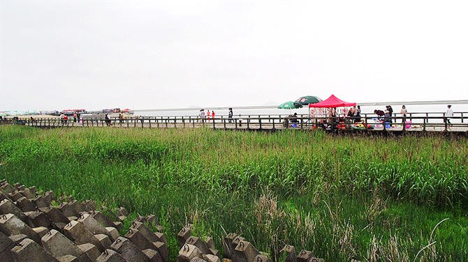 上海金山区有没有免费的沙滩,上海金山沙滩