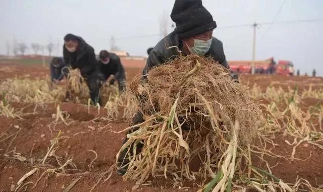 肺炎疫情如何走出恐惧 (肺炎疫情过后你们有什么打算)