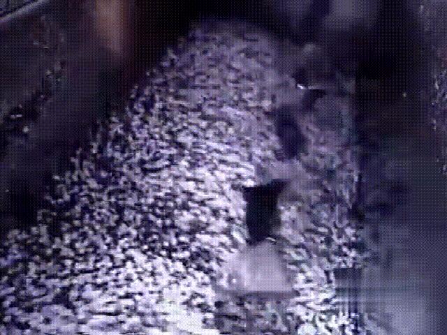 波纹管一般是用什么材料,波纹管的结构是怎样的