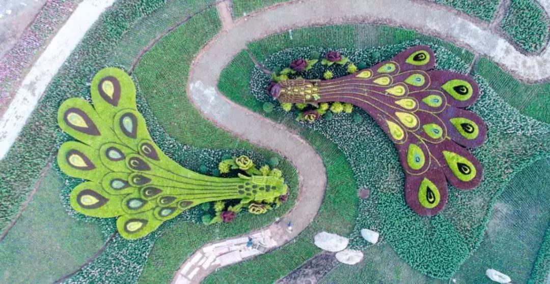 城市公园怎么玩,公园玩法