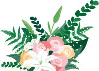 产假咋休,产假如何休