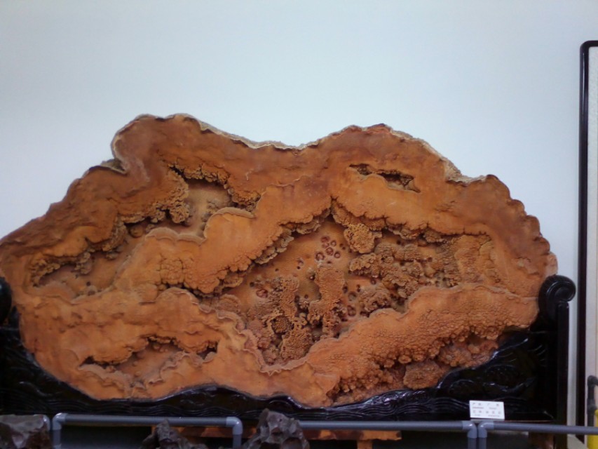 每日一景走进武汉中华奇石馆景区,武汉中华奇石馆有哪些奇石