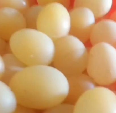 呼吸道症状怎么治,呼吸道感染怎么治疗最快最有效