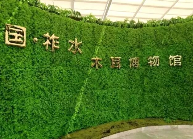 用一句话介绍柞水黑木耳,柞水黑木耳营养价值高吗