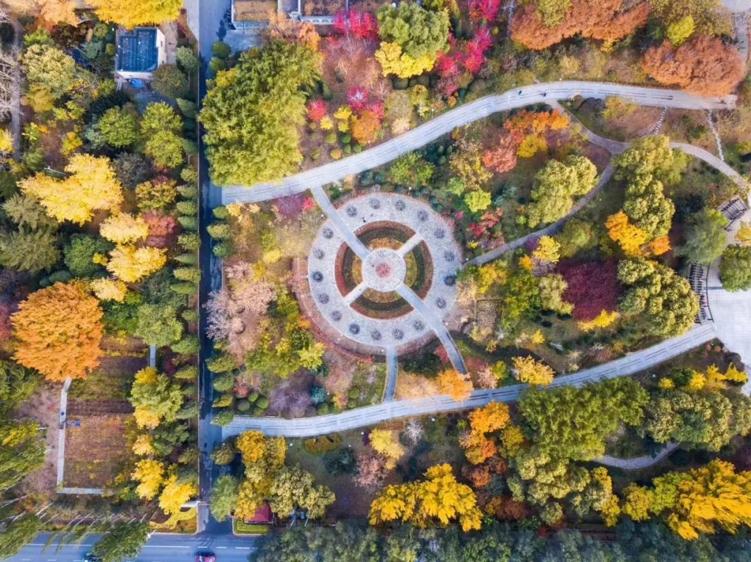 大疆“御”MavicAir，你见过可以塞进口袋的随行无人机吗？