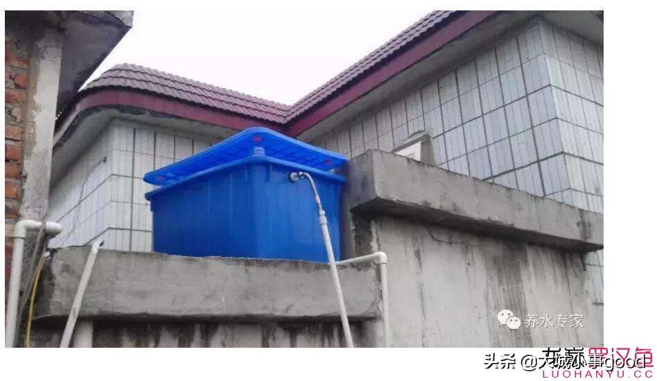 鱼缸自动换水太快,鱼缸自动换水补水靠谱么