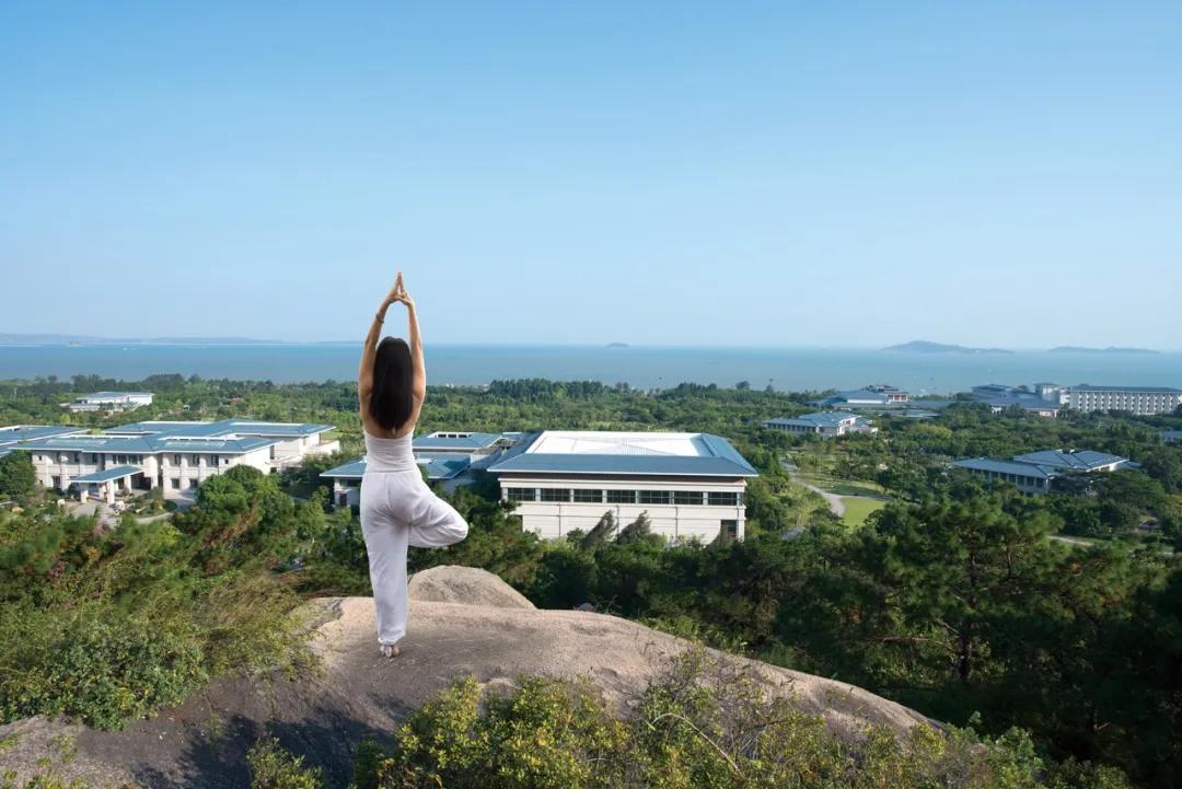 鍗庡皵閬撳か鐧惧勾缁忓吀,鍗庡皵閬撳か鐧惧勾鐢垫