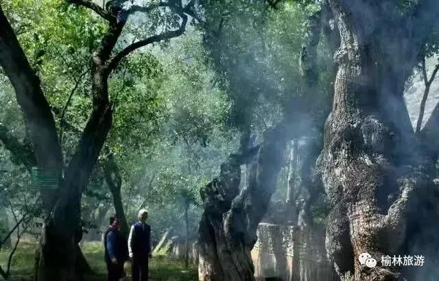 榆林市区网红打卡推荐,榆林网红打卡地晚上