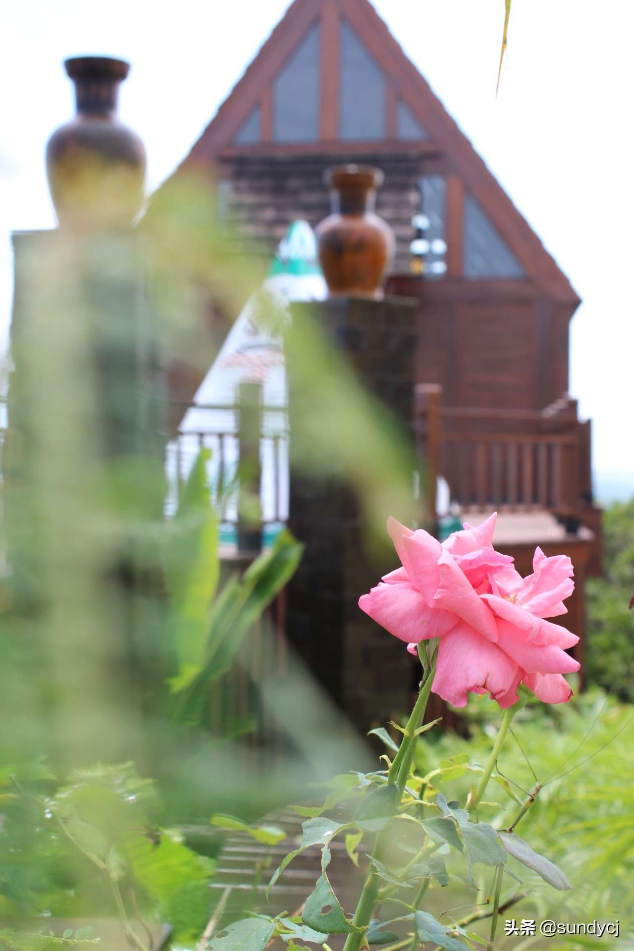 小奔奔,长安新能源奔奔自驾游西藏