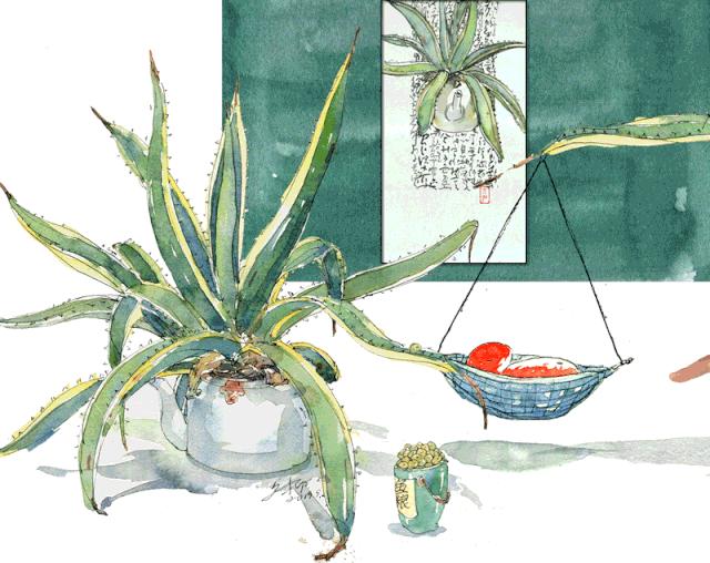 淡彩钢笔画技法,钢笔淡彩画基本知识