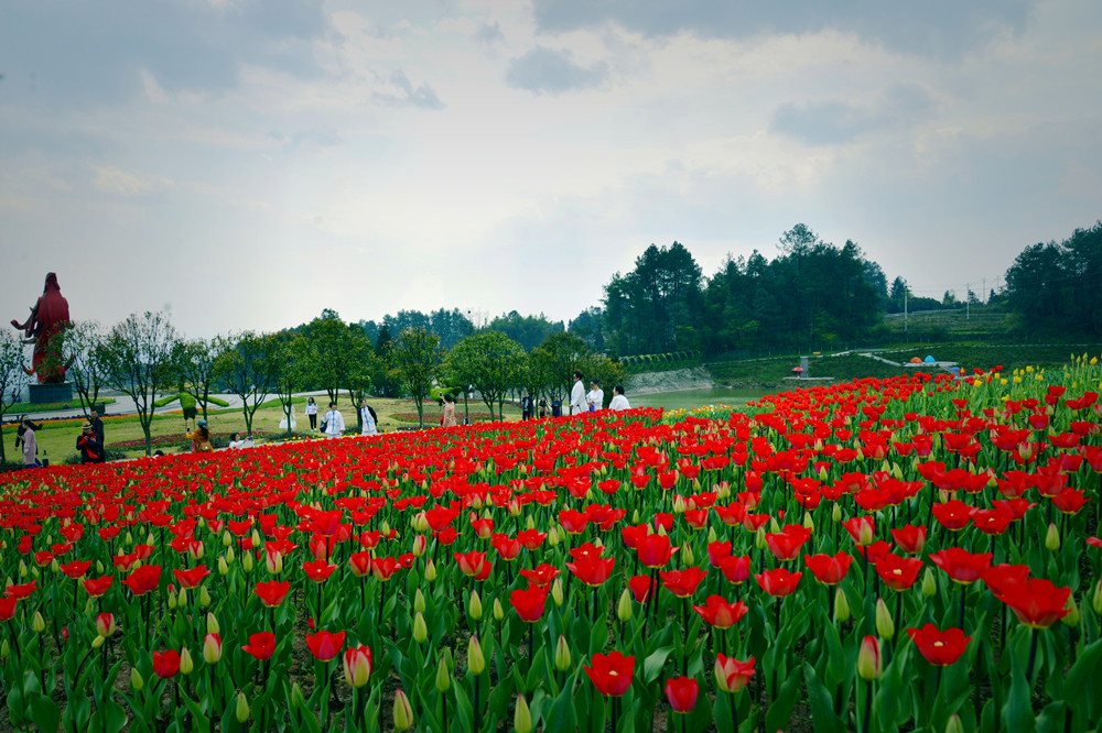 改革开放40年：重庆綦江旅游从遥不可及到说走就走