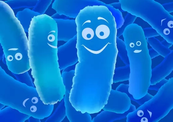 益生菌买什么样的效果好,益生菌好不好主要看什么