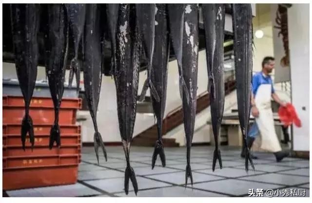 冰鲜带鱼为啥比冷冻带鱼便宜,为什么鲜带鱼还不如冻带鱼口感好