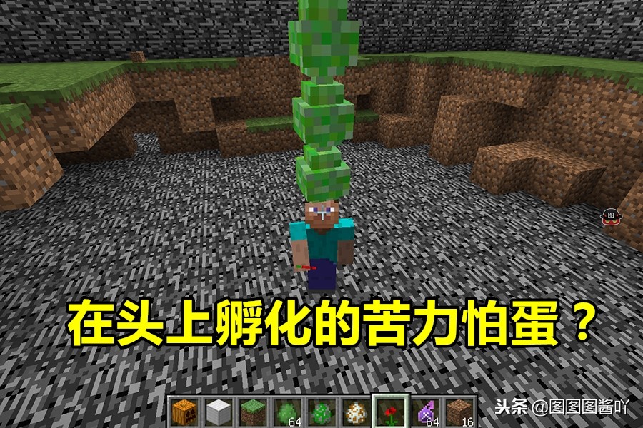 我的世界怎么养苦力怕当宠物,我的世界小苦力怕怎么当宠物