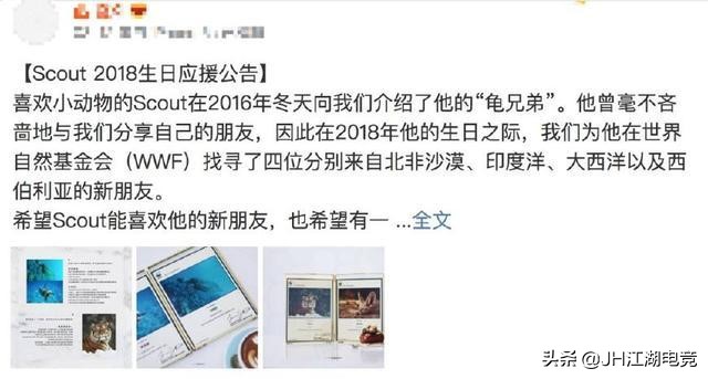 电竞选手到底是干什么的,电竞选手到底做什么