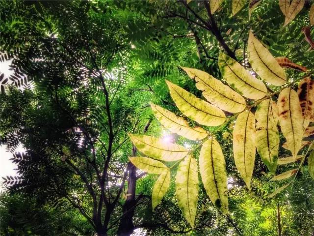 昆明周边60座山峰徒步,昆明徒步登山推荐看日落