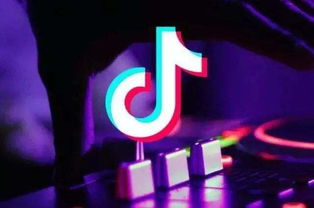 轻松上热门,轻松上热门的歌